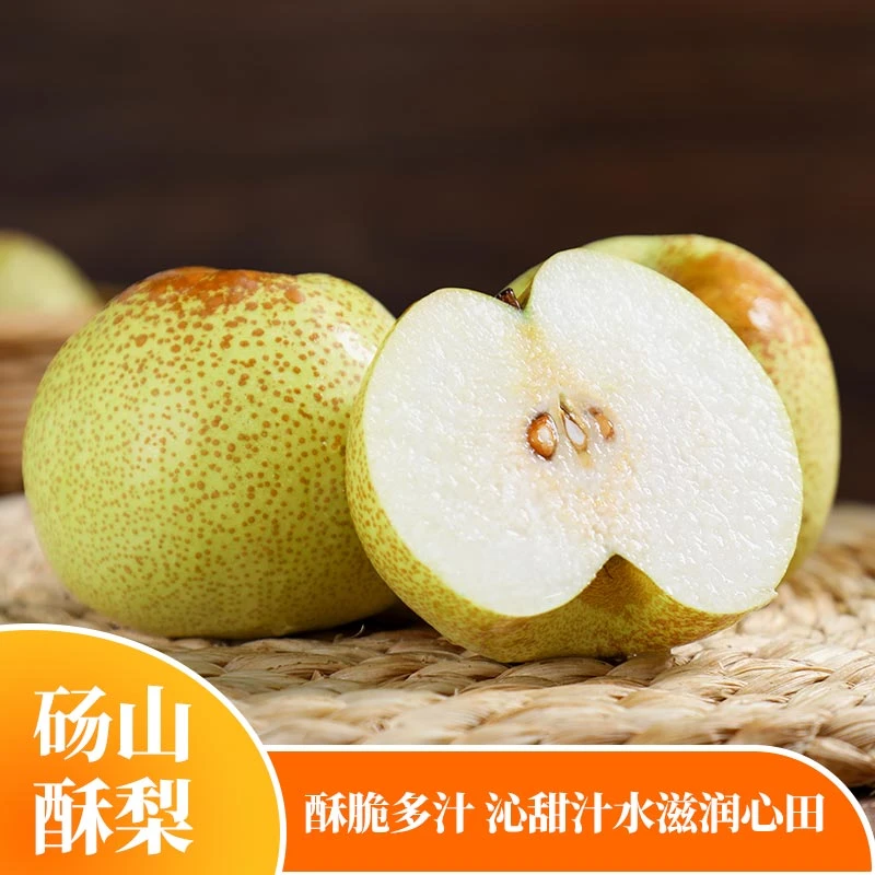 安徽砀山酥梨4.5斤装单果250g+ 5-9个包邮发货