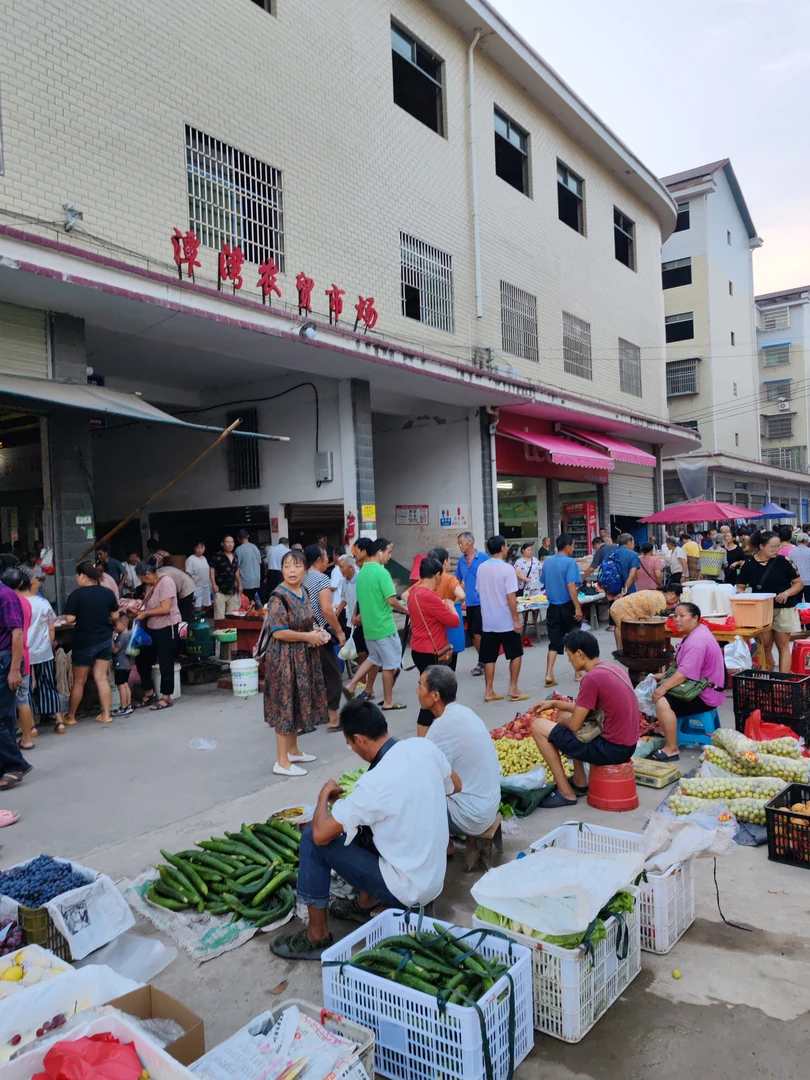 【③赶集代购】湖南怀化农家绿色新鲜蔬菜