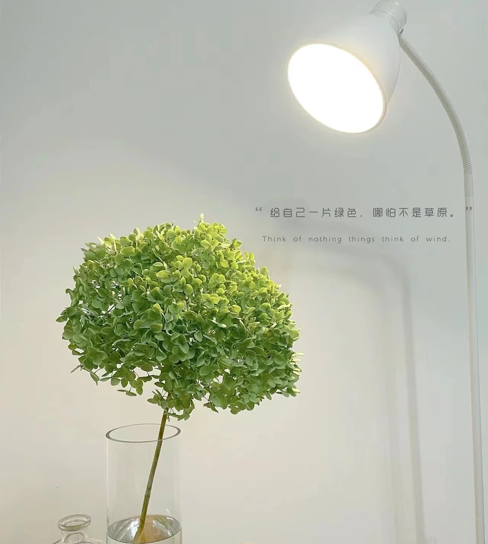 【如熙臻品】(2支)安娜绿绣球-绿色云朵