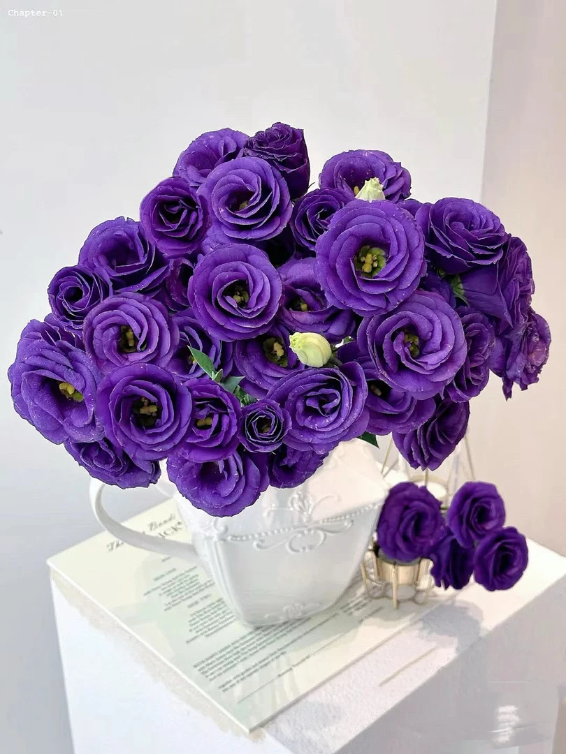 【如熙臻品】紫色  --  洋桔梗