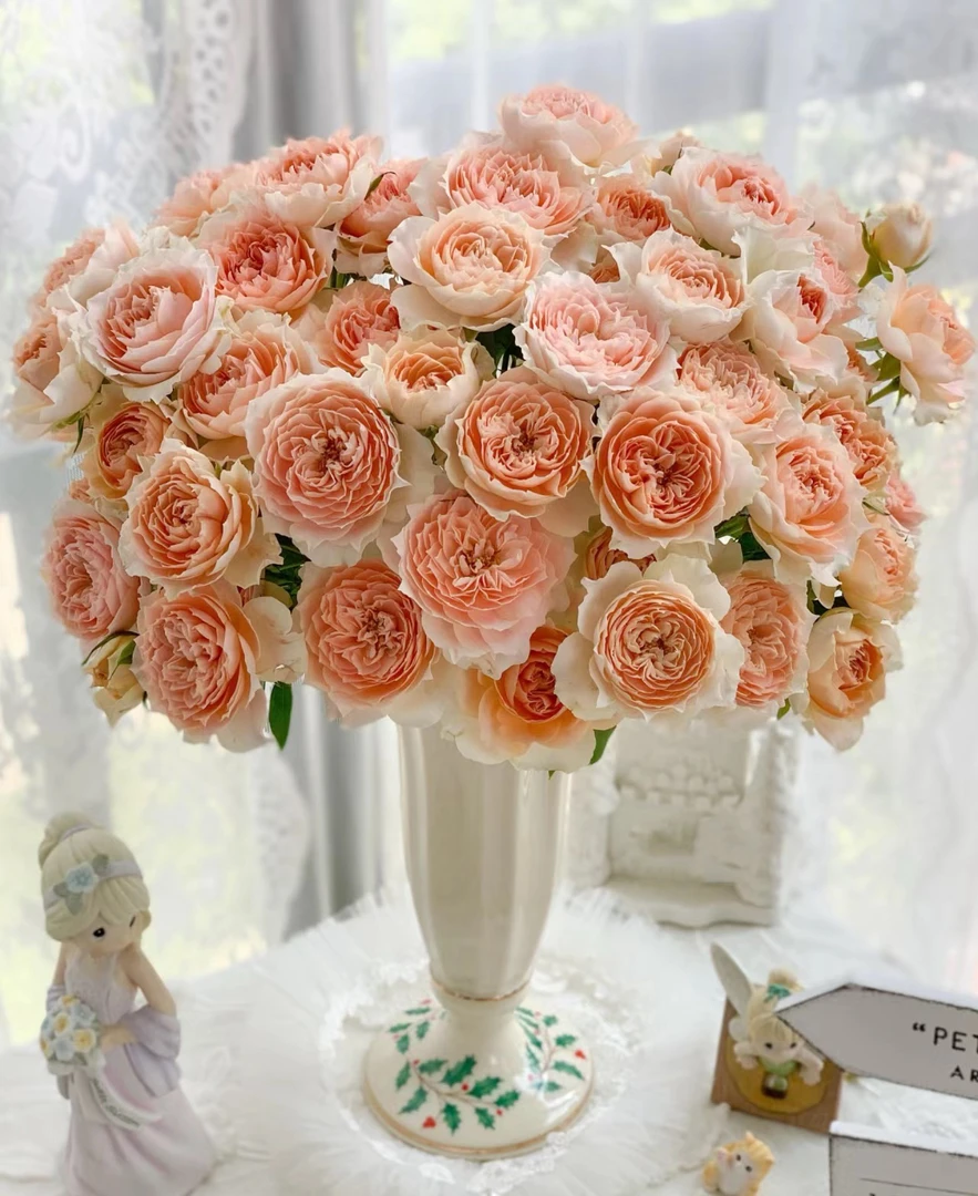 【如熙臻品】杏色啦啦队  稀有多头玫瑰（注意：收到带包装醒花哦！）