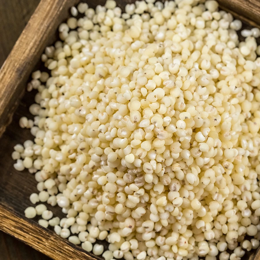 【新米新日期】白高粱米笨高粱米5斤 健康粗粮东北白高粱米农家特产