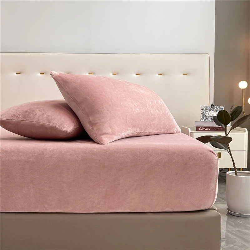 冬季牛奶绒枕套一对装枕头套单人冬天学生宿舍枕芯套保暖一只加绒