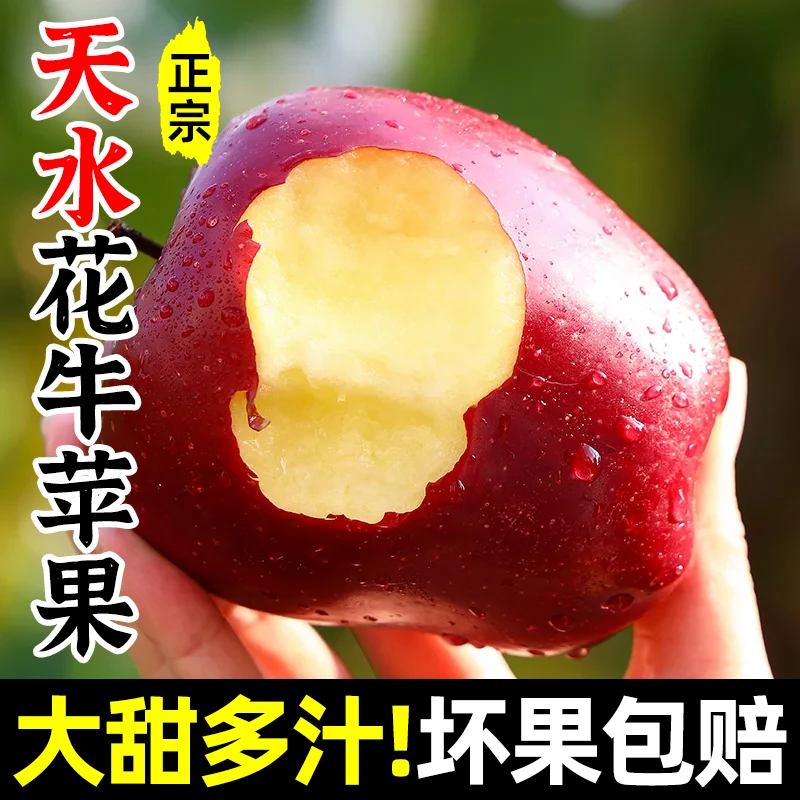 【京东包邮】甘肃天水花牛苹果自然现摘脆粉两吃平安果新鲜多汁水果
