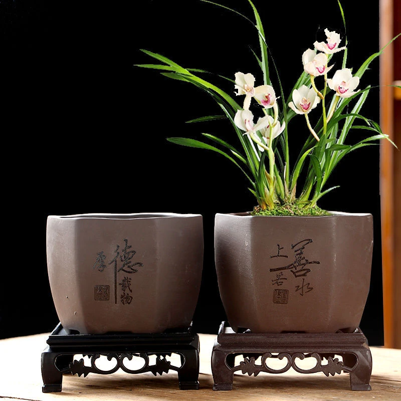简约紫砂花盆带托盘文竹小盆君子兰兰花古风多肉植物小号小花盆