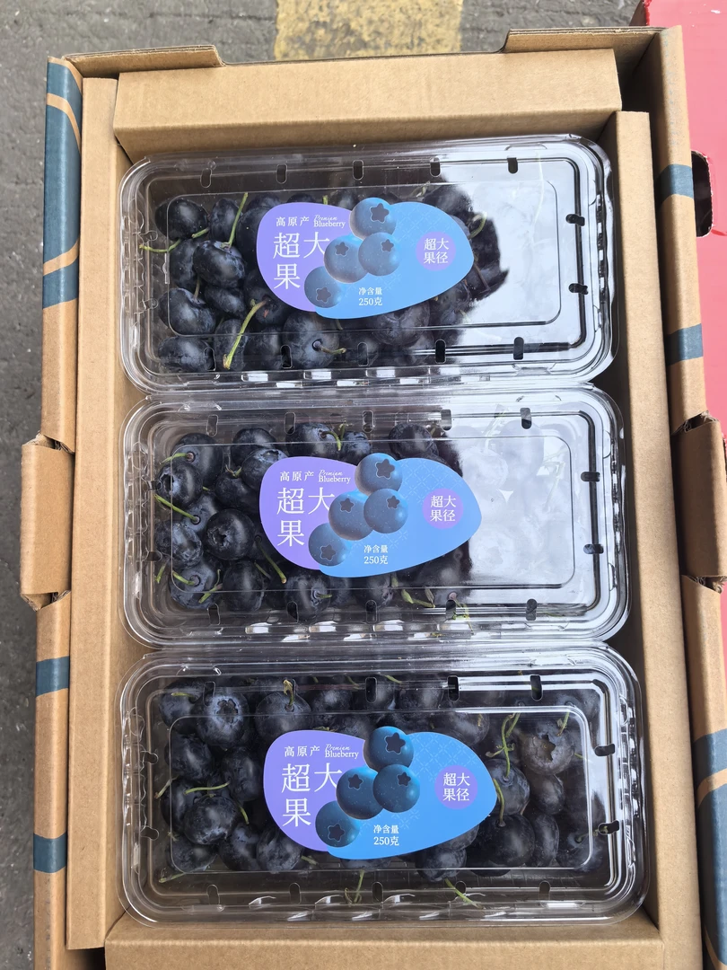 云南超大蓝莓 一盒250g