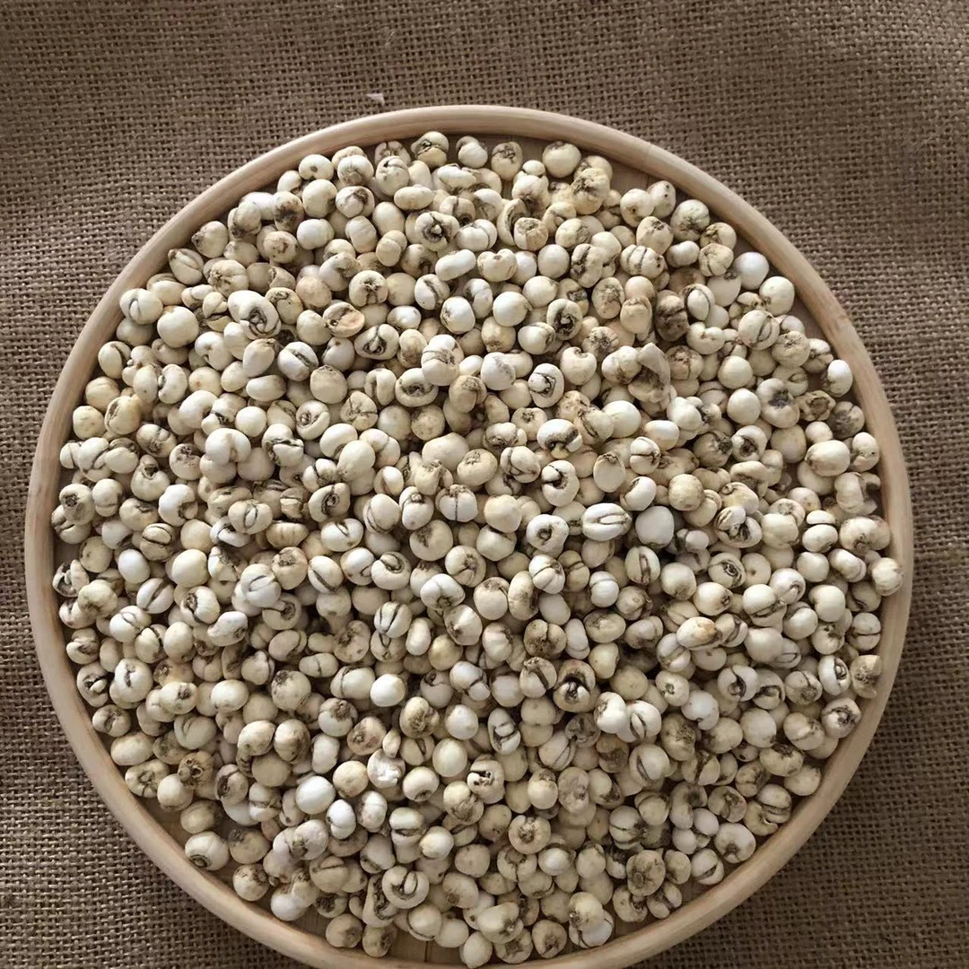 《云南贝母》山货小贝母100g/250g/500g