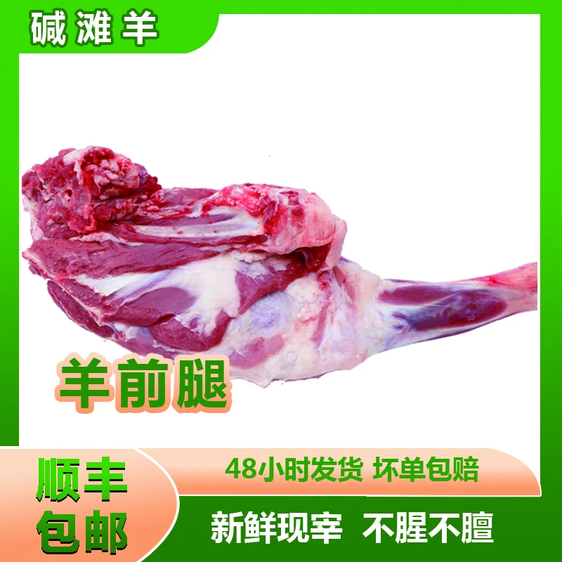 【羊前腿】内蒙古碱滩羊  新鲜 肉质 跑滩 生鲜肉