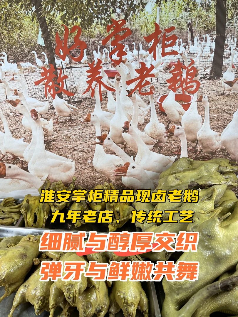 【包邮】淮安|好掌柜现卤精品散养老鹅现卤鹅翅、鹅爪、鹅胗咸香适中