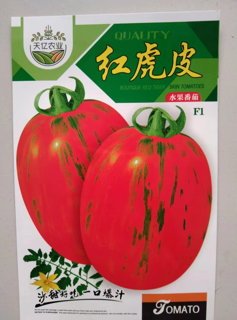 红虎皮水果番茄种子一代杂交酸甜可口抗寒耐热大棚小菜园阳台种子