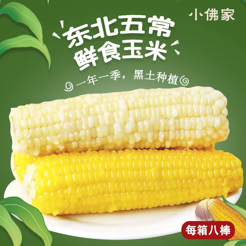 【鲜食糯玉米】2024熟甜嫩糯8根东北黑龙江五常黏玉米新鲜糯玉米
