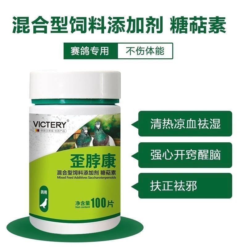 汉诺威 歪脖康赛鸽用品