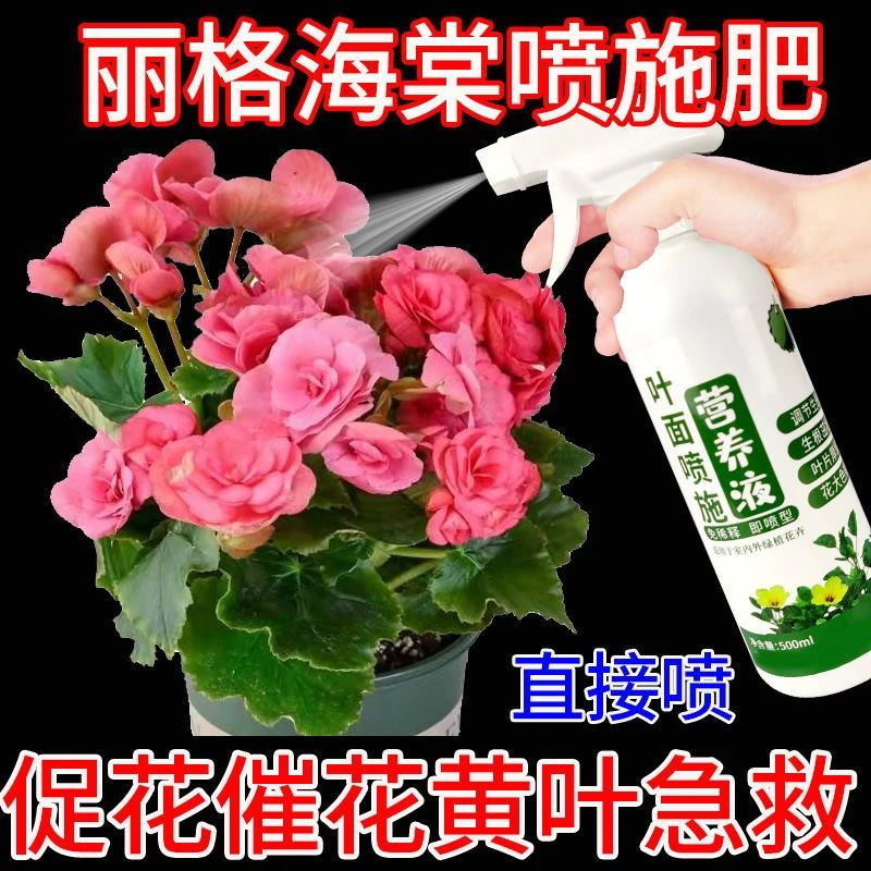 丽格海棠专用营养液500ml促花催花防黄叶壮杆爆盆直喷植物营养液