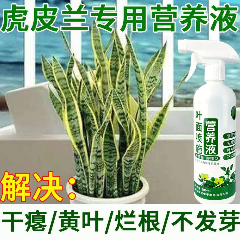 虎皮兰专用营养液拯救烂根黄叶不开花爆新芽生根促长免稀释肥养花