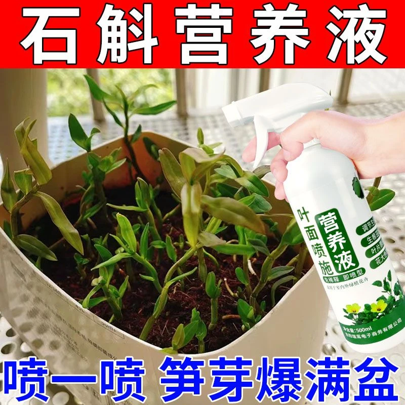 【爆芽必备】石斛兰专用营养液爆芽生根促花防黄叶石斛肥料免稀释