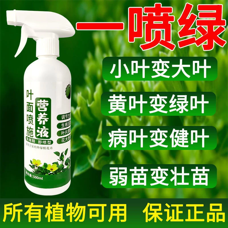 一喷绿黄叶变绿叶面肥蔬菜花卉果树植物通用营养液黄叶死苗一夜绿