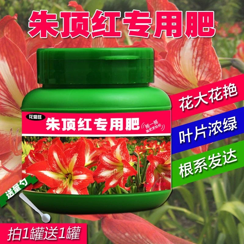 朱顶红专用肥料种球花肥料化肥红花莲有机肥盆栽专用营养液水溶肥