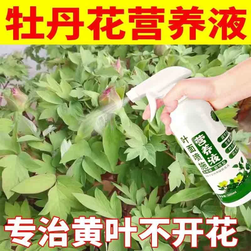 牡丹营养液催花开花肥促花叶面肥防落蕾家用去黄叶养花肥料免稀释