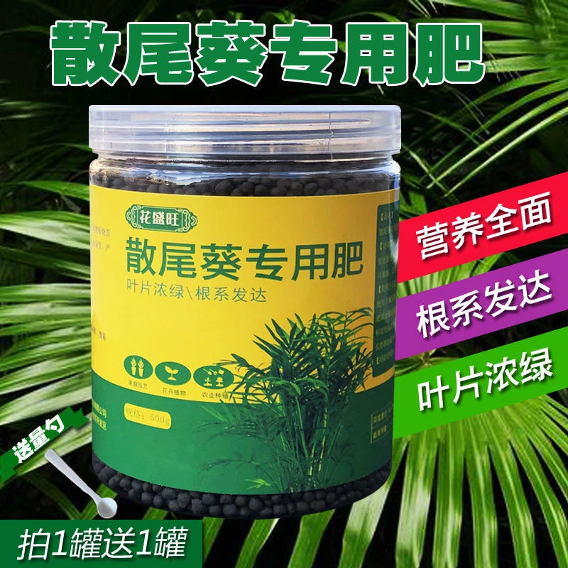 散尾葵专用肥料散尾葵大型绿植盆栽专用肥料室内客厅植物养花肥料