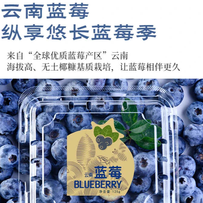 云南当季大蓝莓 基地直发 人工采摘 蓝莓大果 新鲜脆甜125克/盒