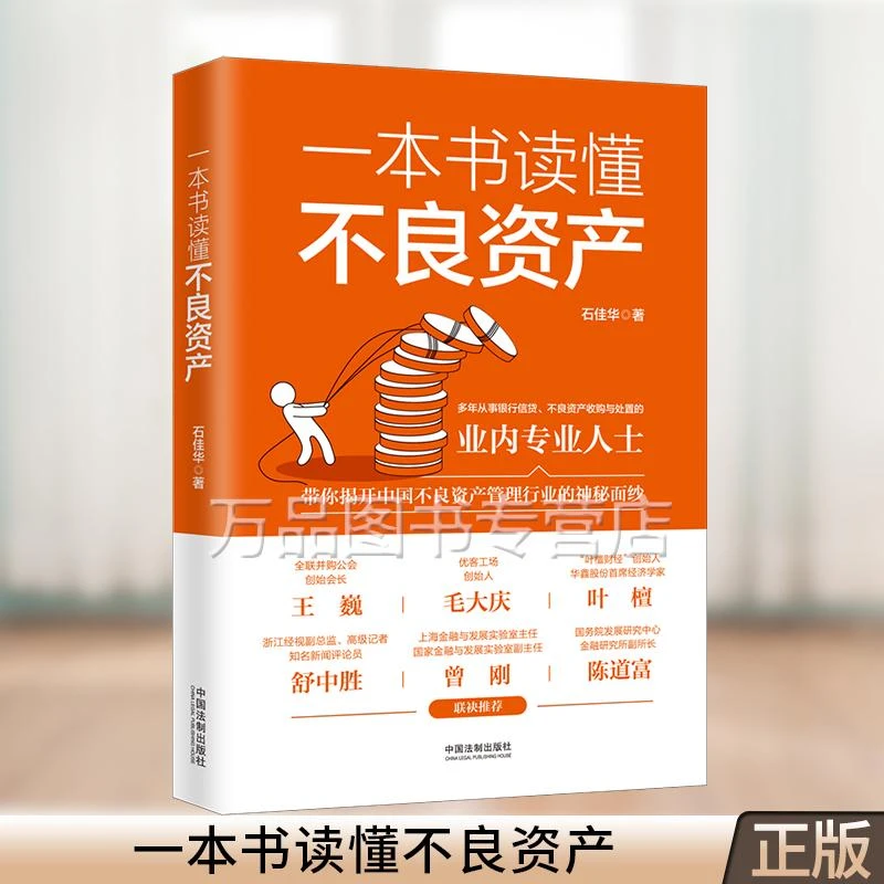 一本书读懂不良资产 石佳华 中国不良资产管理
