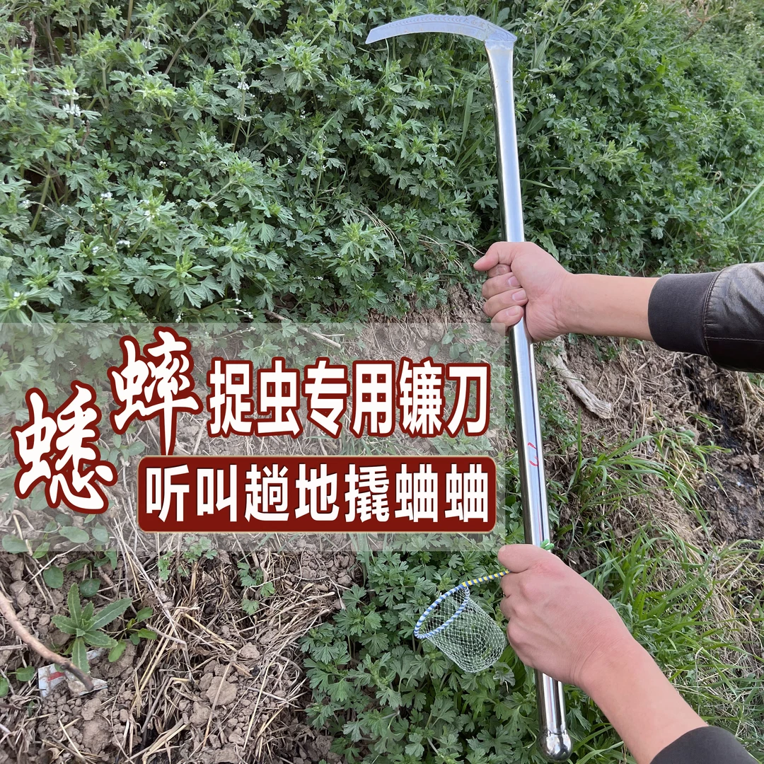 捉蛐蛐捉蟋蟀镰刀听叫撬子手专用镰刀工具