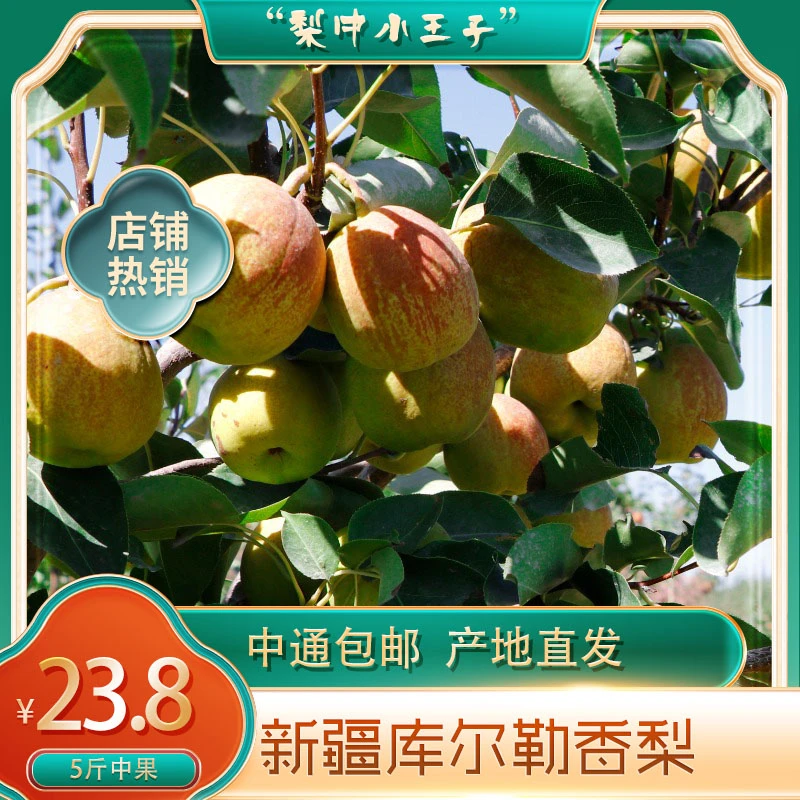 【中果新疆直发】正宗新疆库尔勒香梨脆甜新鲜化渣皮薄时令爽口品质