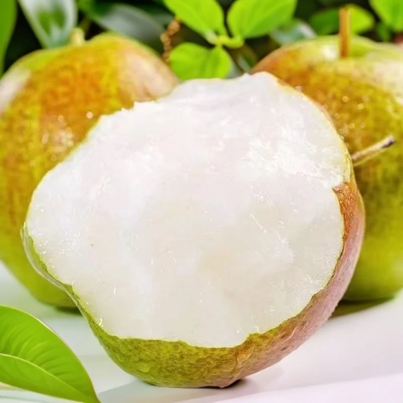 （自营店新鲜采摘）顺丰京东山西隰县玉露香梨多汁苹果原产地