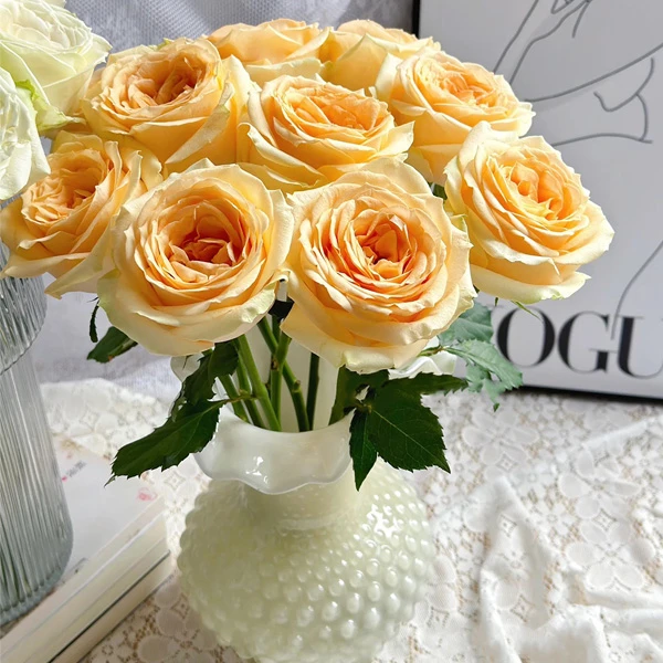云南基地鲜花蜜桃雪山郁金香花盆雪柳干花架营养土百合阳台水仙