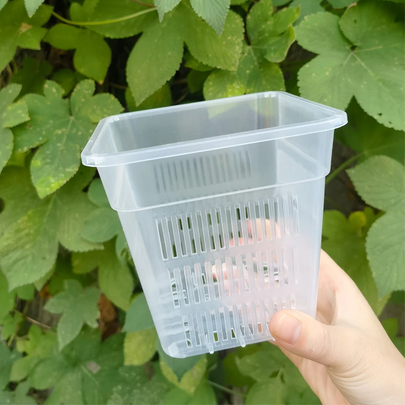 兰花盆栽方盆加厚透气塑料花盆控根盆蝴蝶兰定植篮洋兰绿萝透明篮