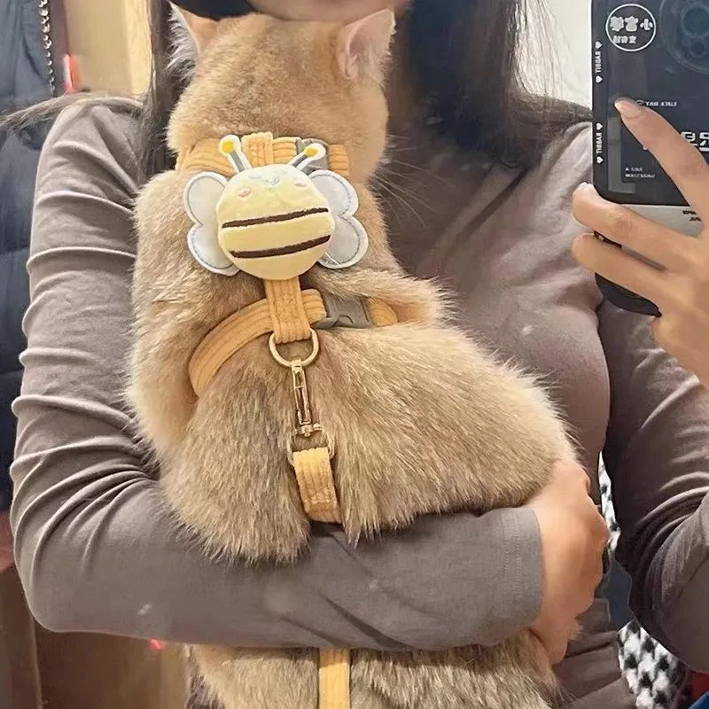 猫咪牵引绳蜜蜂工字防挣脱外出专用溜狗链宠物胸背带猫绳子可调节