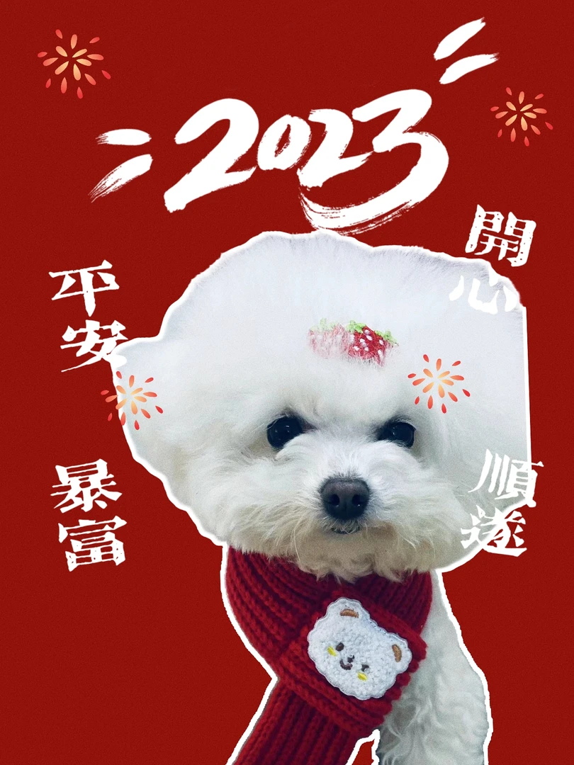爱wo克狗狗体内外同qu虫滴剂