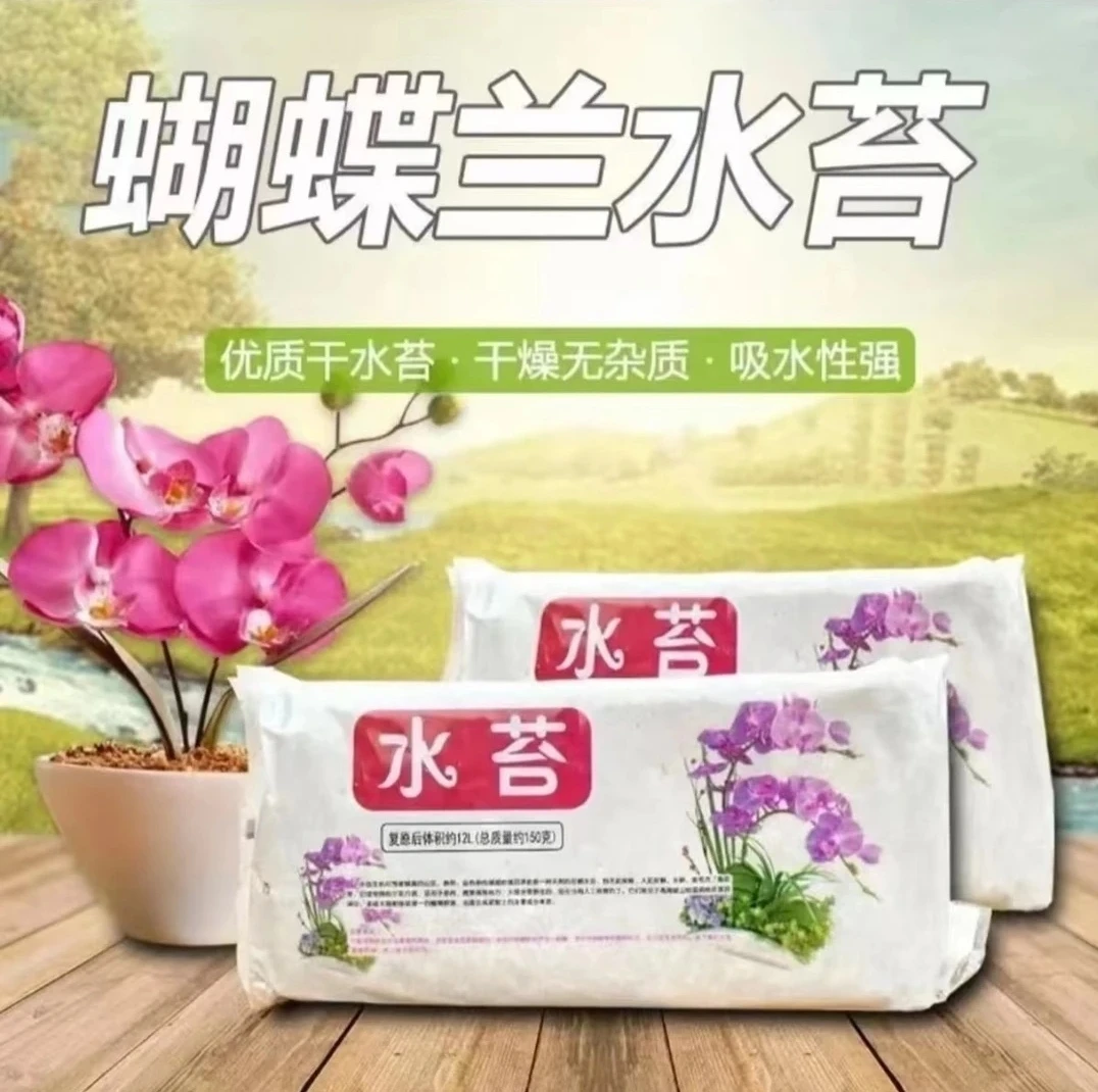 蝴蝶兰基地专用水苔，吸水透气性好，不易腐败