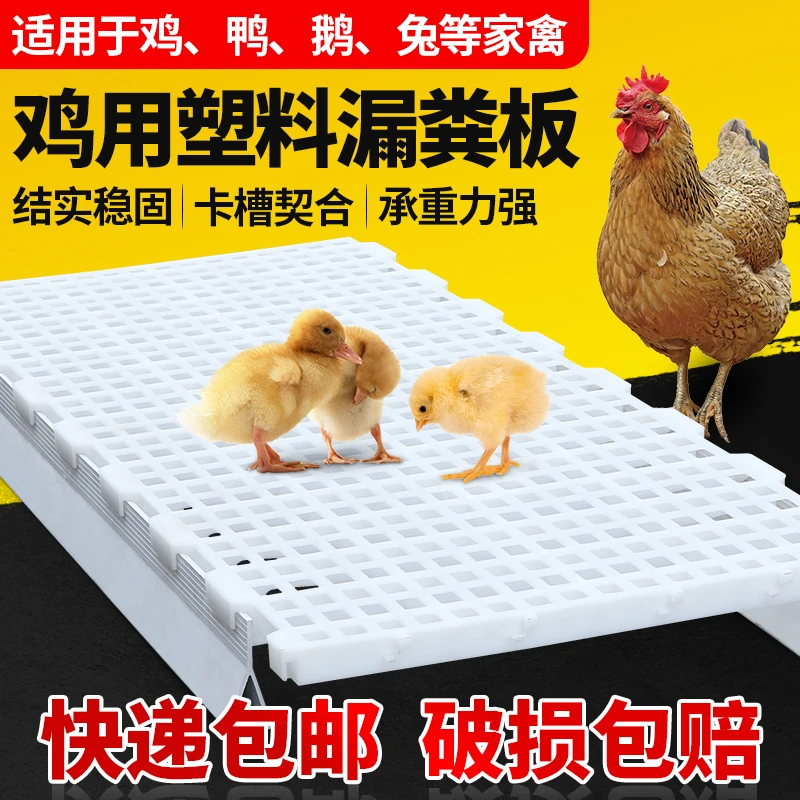 鸡用漏粪板鸡舍漏屎地板塑料家禽鸭鹅鸡鸽子养鸡漏屎网鸡粪漏粪网