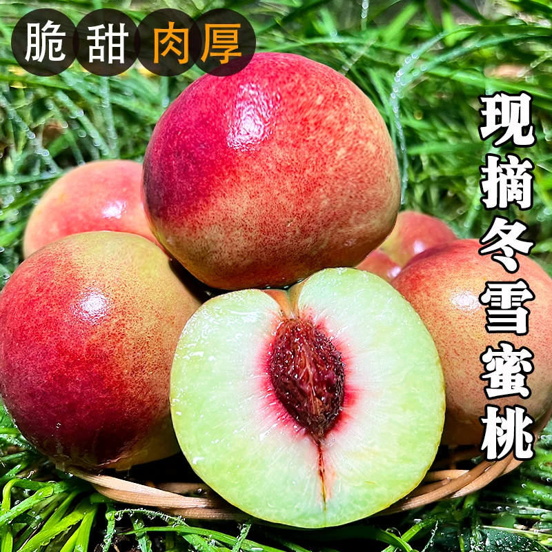 【产地现摘直发】山东青州蜜桃新鲜脆桃当季鲜水果脆嫩青皮桃子改