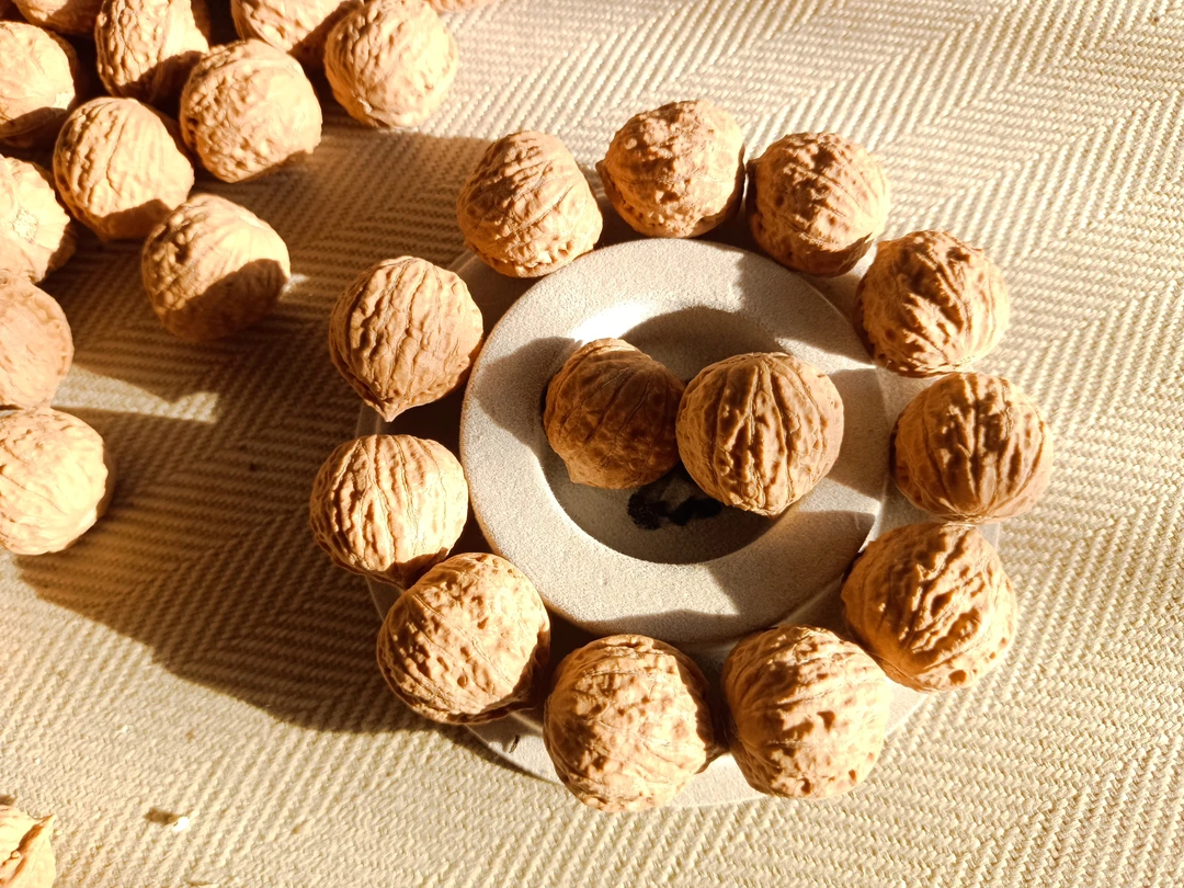 非金属木质手链 16号野生小秋子手串小密纹手串姜黄皮手串