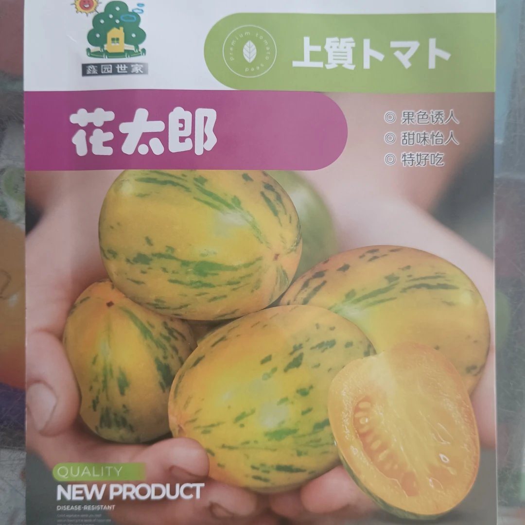 大棚陆地精品，商品用花太郎、黄虎皮、杂交虎皮柿子籽，单果重100克