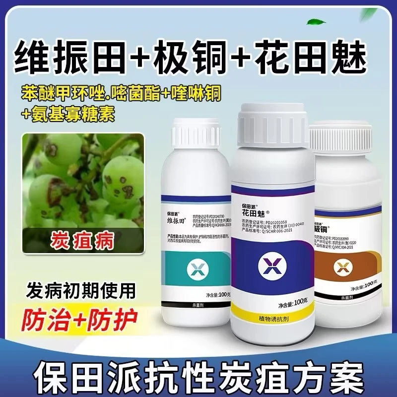 抗性炭疽病方案苯醚甲环唑嘧菌酯喹啉铜氨基寡糖素西瓜农药杀菌剂