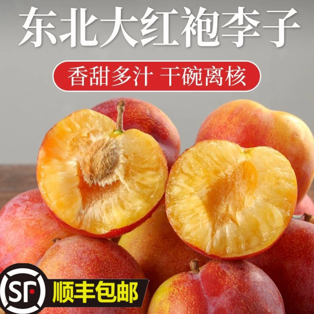 东北特产大李子脱骨李辽宁水果周家大红袍李子孕妇水果顺丰快递