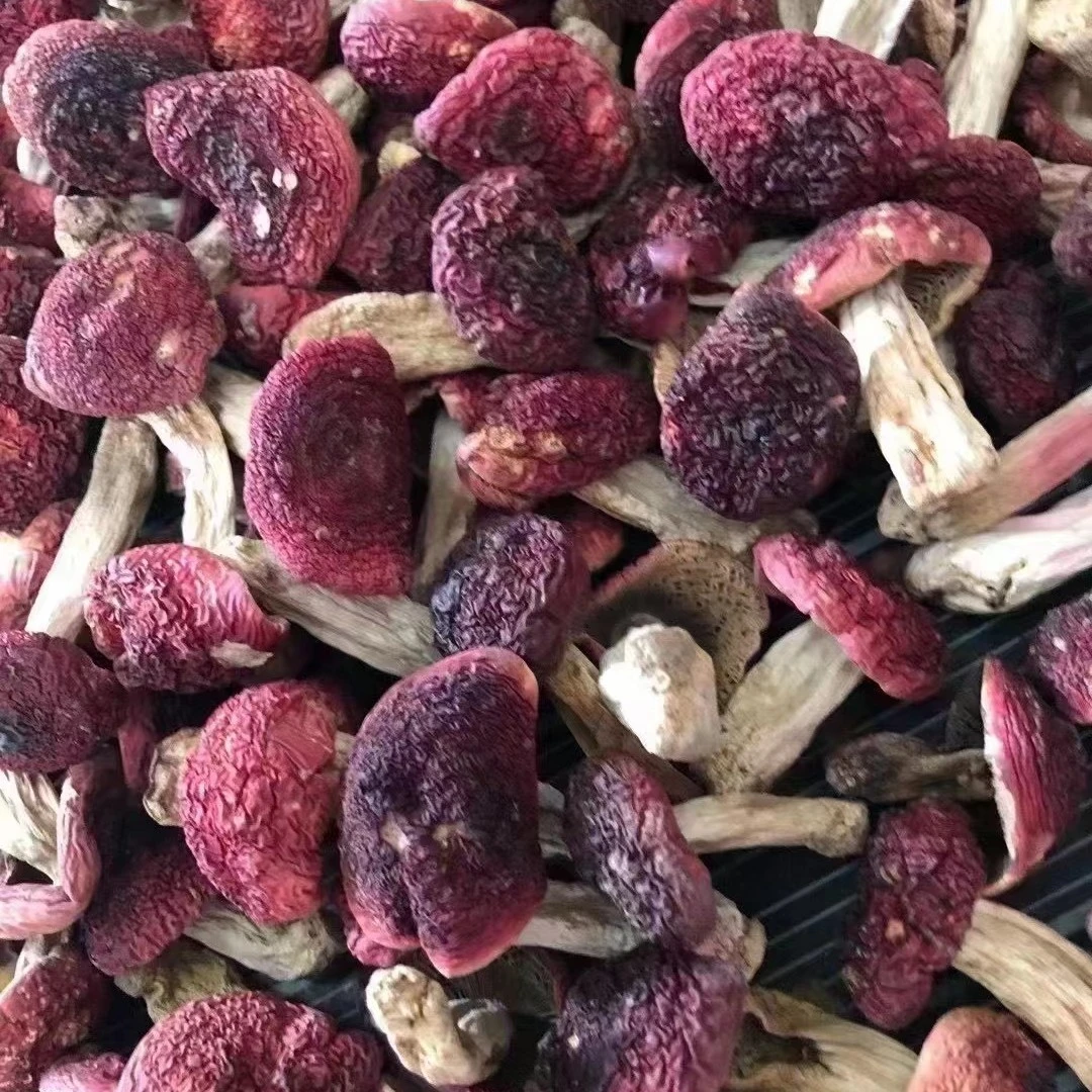 红菇干货深山红菇红蘑菇菌菇干货月子菇
