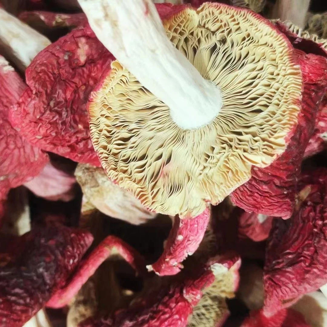 云南红菇干货厚开伞菇煲汤食材月子菇送礼佳品 250g500g包邮