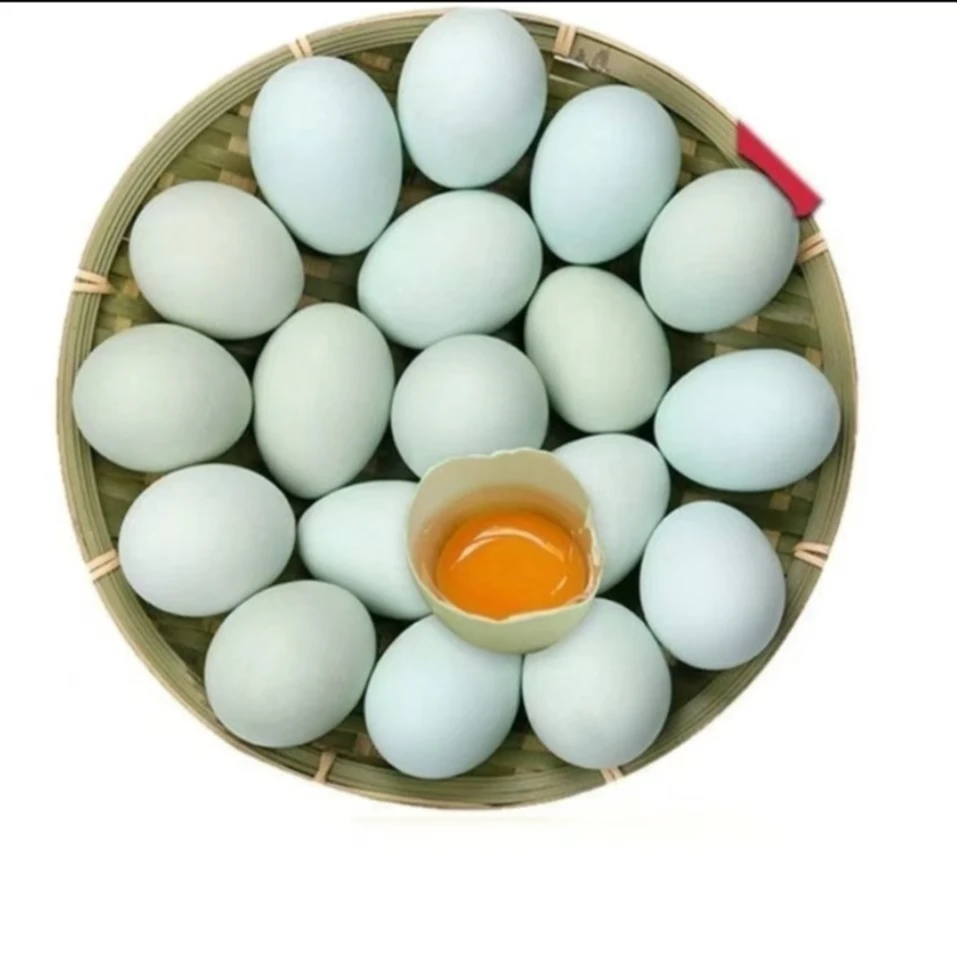 40枚绿壳【金冉农场】散养土鸡蛋