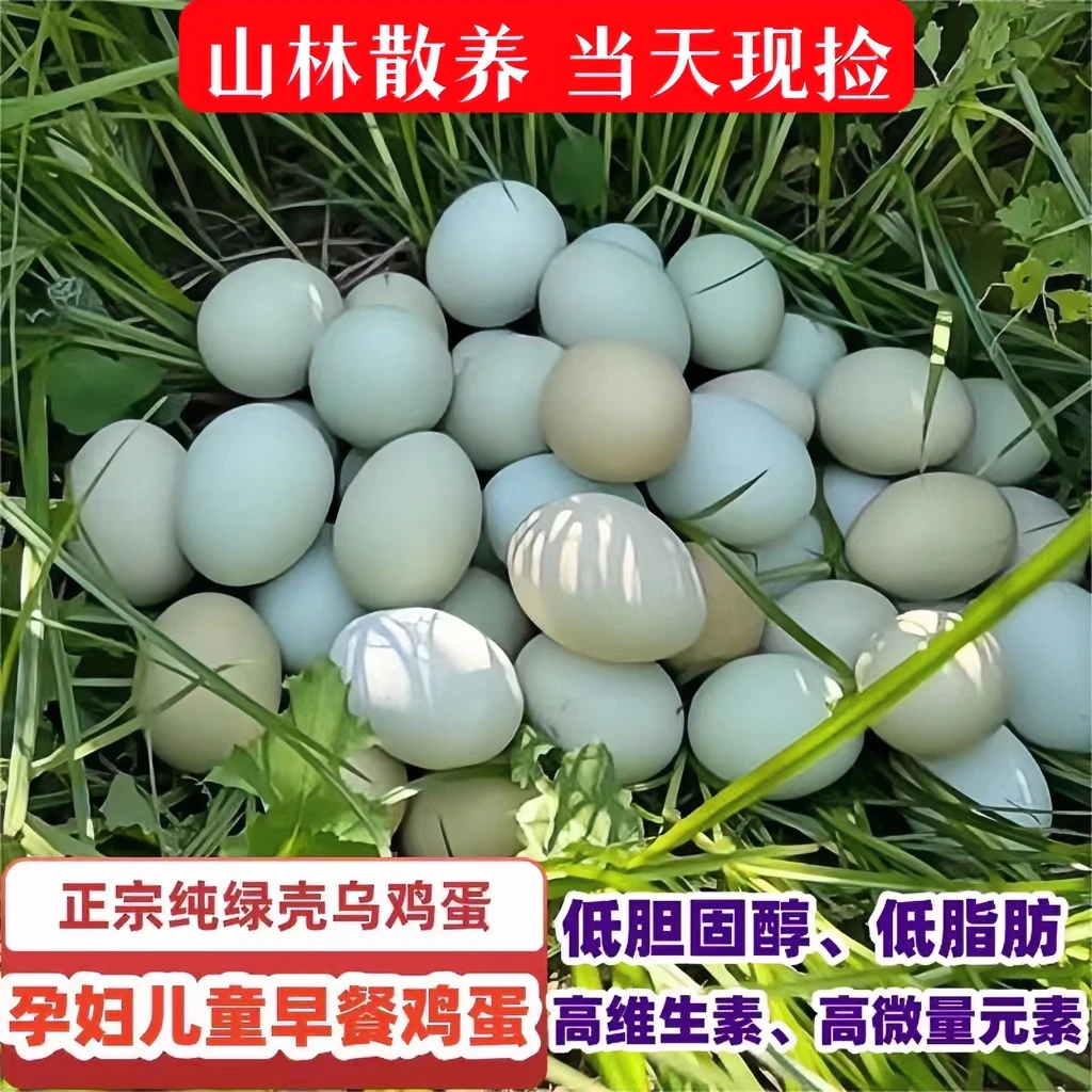 夹谷山 当日新鲜绿壳蛋 天然优质营养健康农家山林喂养30枚/箱
