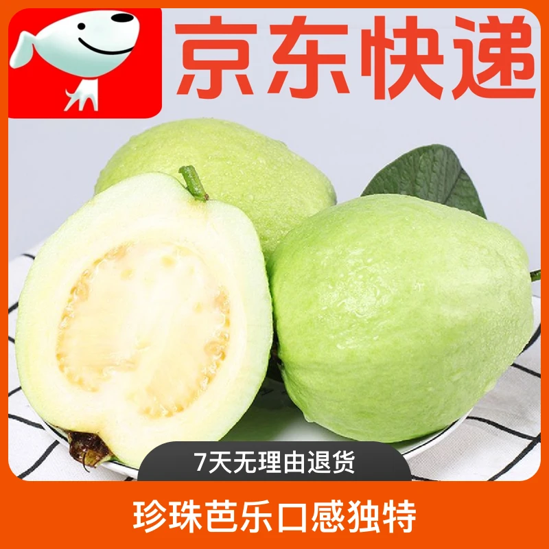 汕尾华侨白心芭乐番石榴珍珠芭乐水果