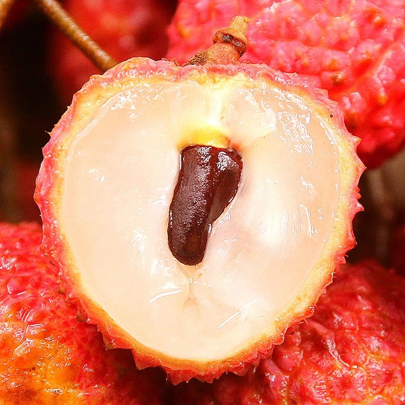 正宗桂味荔枝老树新鲜现摘肉厚清甜头茬当季生鲜时令低脂水果