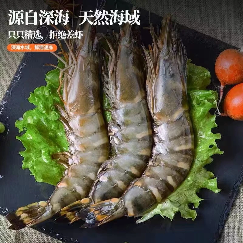 肆生鲜1620大号黑虎虾新鲜每斤8-10只无冰净重3斤约28只青岛发货