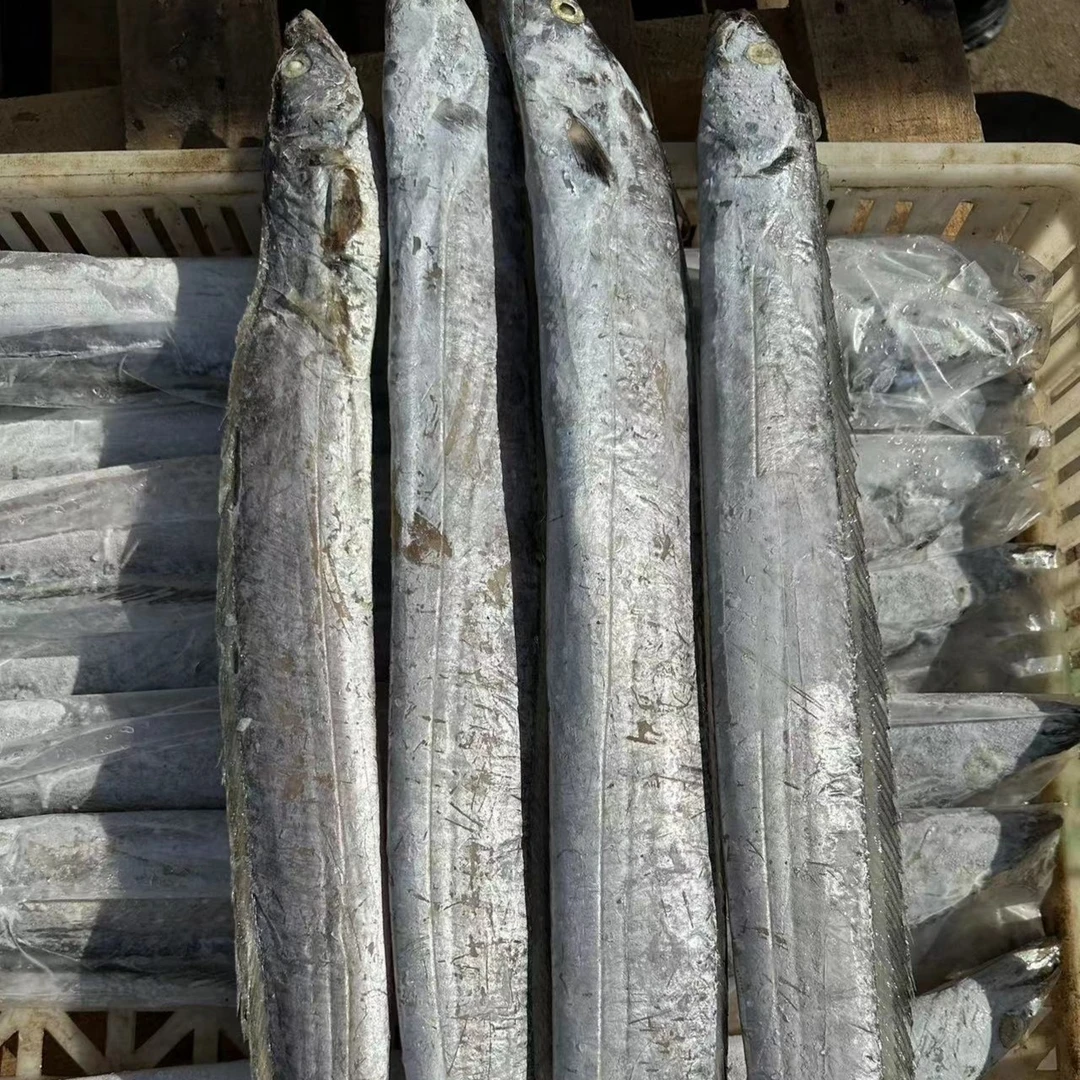 肆生鲜整条小眼带鱼油带 1.5斤-2斤/条 净重5斤到手3条 会有破肚