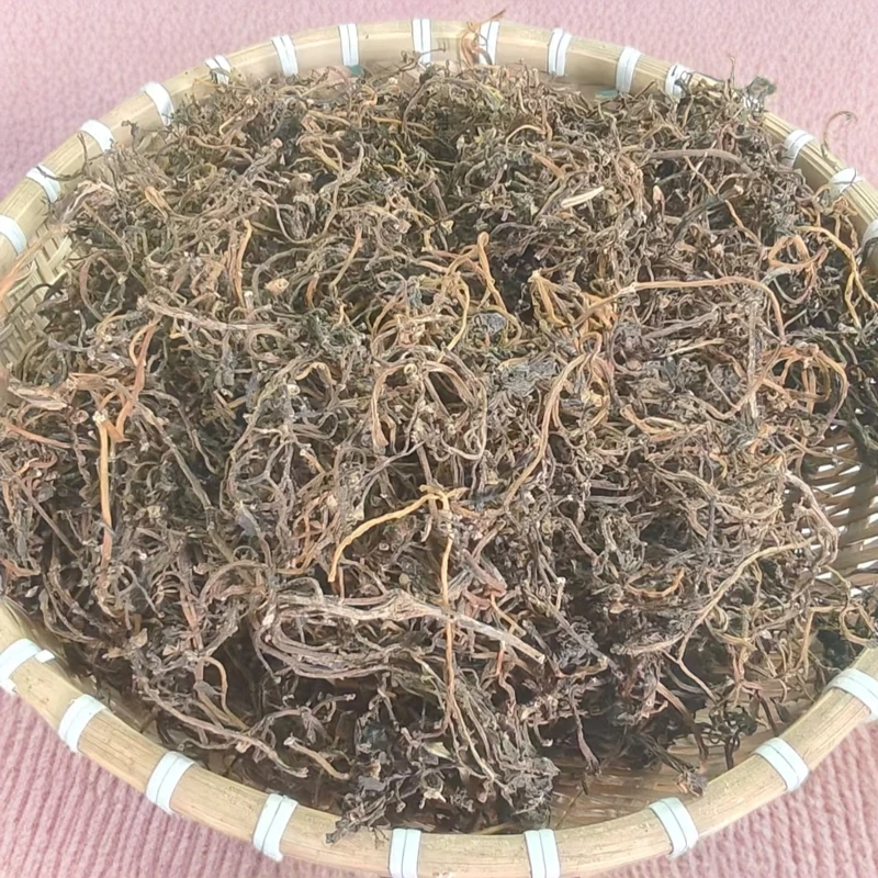 采摘野生马芷苋炒水自然凉晒干马芷苋