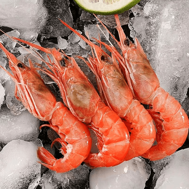 国产东海海捕野生刺身红虾3斤顺丰包邮