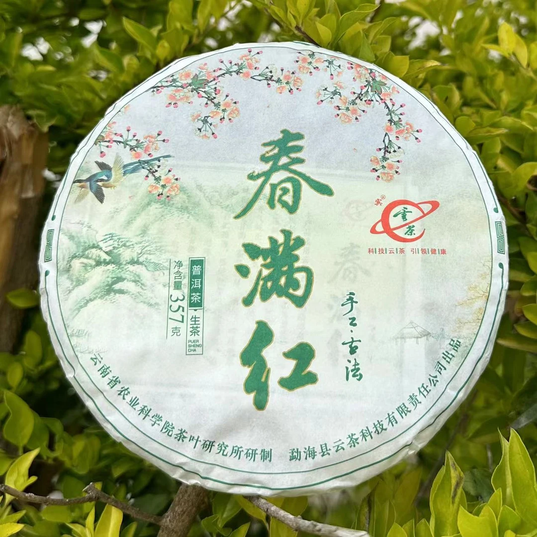 R-[云茶] 春满红 普洱茶（生茶）357g/饼